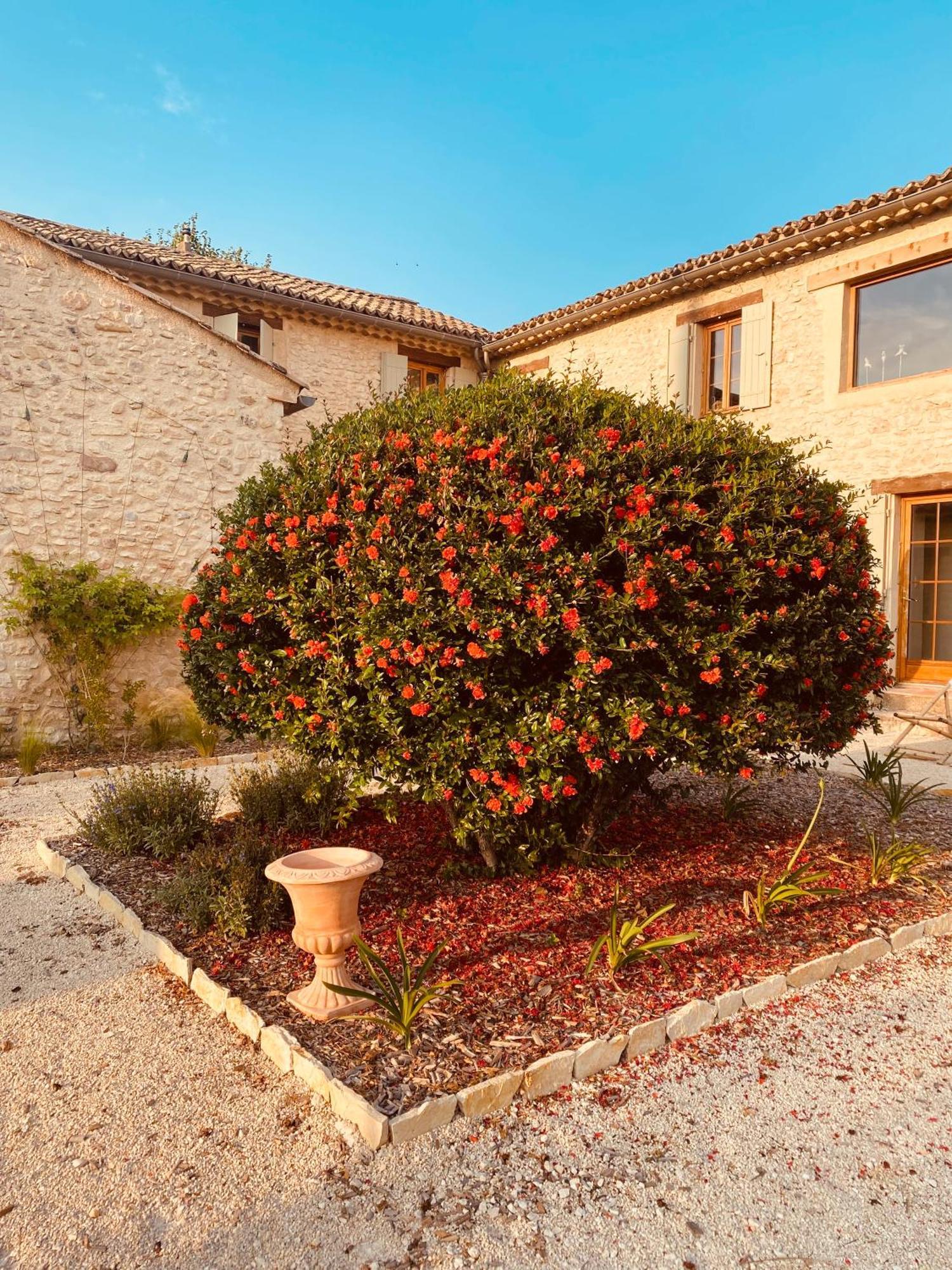 Villa La Bastide Des Oliviers Provence - Mirabel Aux Baronnies Exterior foto